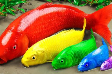 Best Of Small Fish Recipe | MINIATURE Fish Cooking Made EASY with Simple Recipe