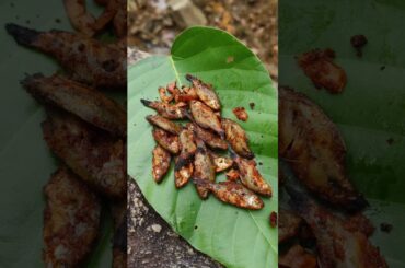 Jungle Survival Cooking with River Fish #shorts #food #cooking