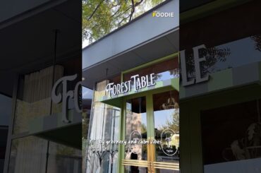 This place in Delhi literally feels like dining inside a quiet forest 🌿✨ | Forest Table