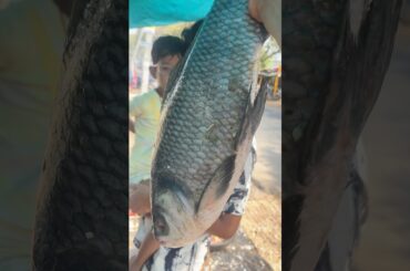 🤤Hogenakkal style fish kolambu #subscribe #shorts #youtube #youtubeindia #cooking #shortvideo #food