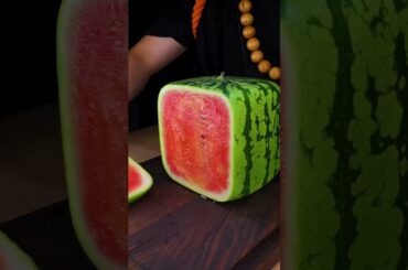 DELICIOUS Outdoor Foods You Need To Try Now#cooking #socialmediamagic #usashorts #food #healthyfam