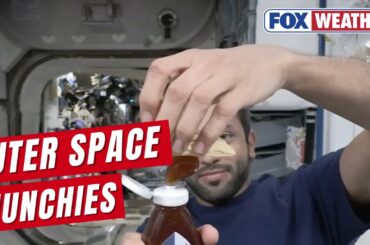 Fine Dining While In Space