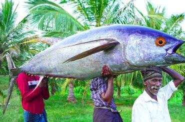 300 POUNDS MONSTER RED EYE TUNA FISH | Cutting and Cooking Tuna Fish Recipe | Village Grandpa