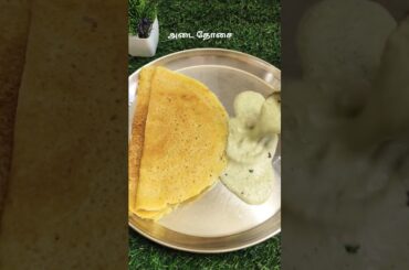 protein rich adai dosai #thenga chutney#recipe#cooking#food #shortsfeed #shortvideo #tasty#minivlog