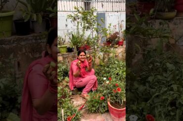 🍅 Hare Tamatar Ki Chutney #shorts #foodie #foodievlog #foodshorts #foodvlog #cooking #recipe