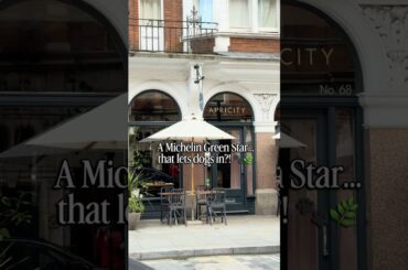 Best dog-friendly Michelin restaurant in London? 🐾✨