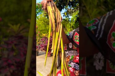 Authentic Taro Stolon Curry Recipe | Homemade Kochur Loti Recipe  #cooking #recipe #shorts #explore