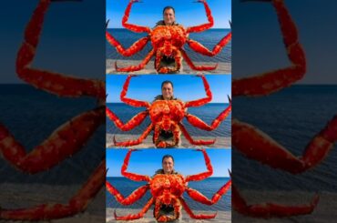 Giant And Very Tasty King Crab WithSignature Sauce! Fine Dining By The Sea! | #nature #cooking #food