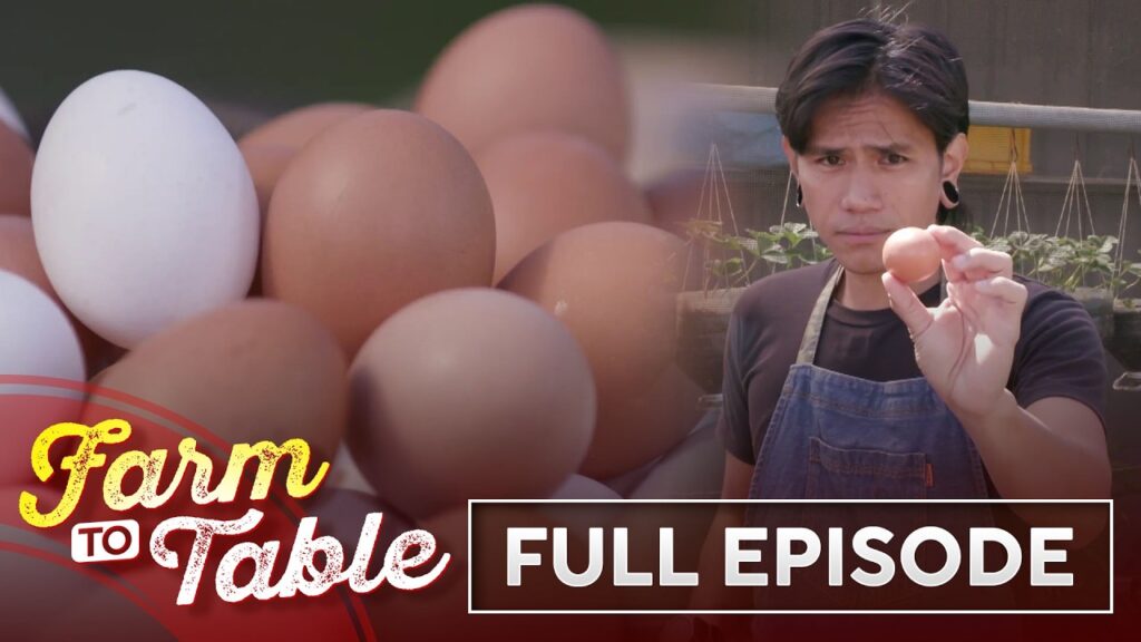 Chef JR Royol shares his EGGcellent cooking techniques! (Full Episode) | Farm to Table