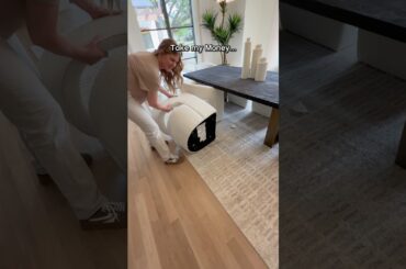 Dining room chairs made for an area rug...