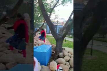 Chef's Table courtside #shortvideo #weather