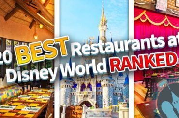 Ranking the 20 BEST Restaurants at Disney World