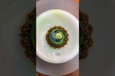 Part 2 of the COOLEST fine-dining experience on the planet 🥹🌍 #travelfoodie #michelinstar