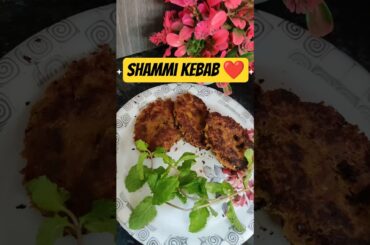 Street Style Shami Kebab 😋 | Secret Recipe Revealed shorts#explore #viral #cooking