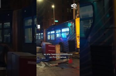 MTA bus plows into parked cars, damages outdoor dining shed