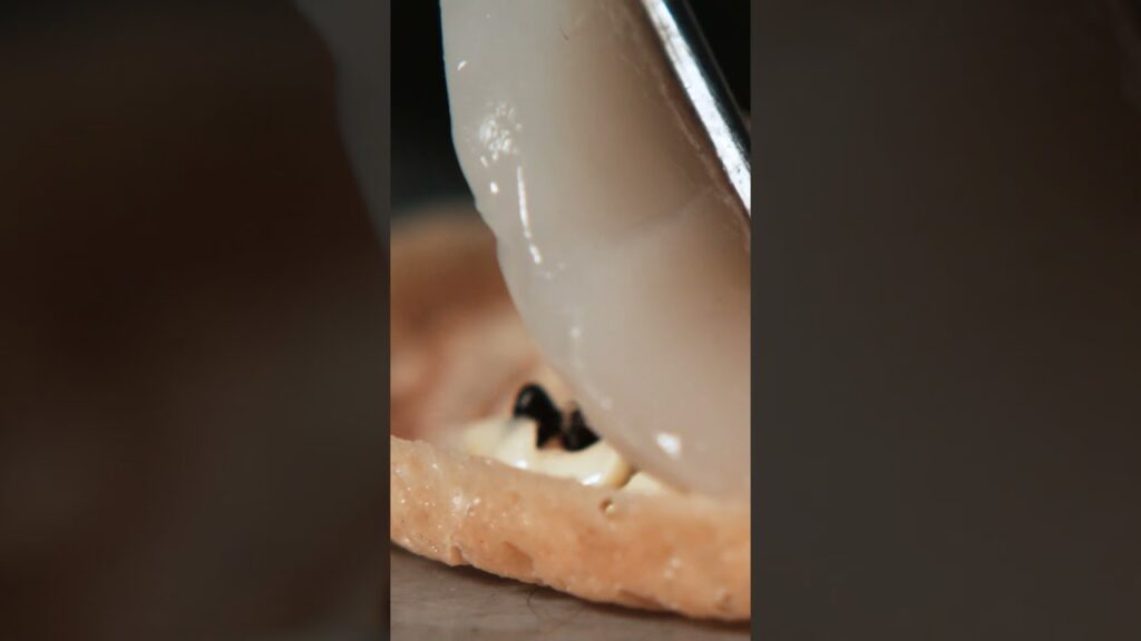 A dish made of ants 🐜