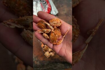 Little crab snack #fishing #cooking #outdoors