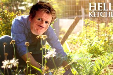 gordon gives up being a chef and takes up gardening instead | Full Episode | Hell's Kitchen