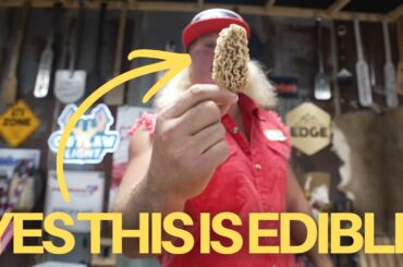 I Cooked The Weirdest Mushroom You've Seen!