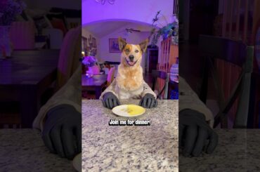 Join Oliver for an elevated dining experience 🥰