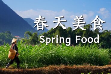 Yunnan Spring Food Collection | Turning the Freshness of Spring into a Table Full of Dishes【滇西小哥】