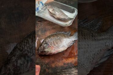 Cooking Walmart fish 🤮 #fishing #cooking #outdoors