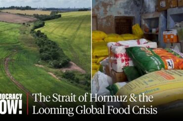 The Looming Food Crisis: Why the Strait of Hormuz Is Disrupting Global Agriculture