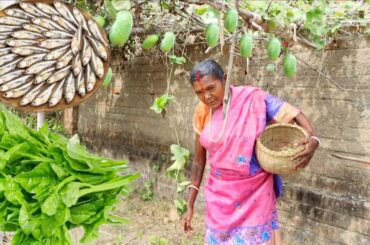 FARM FRESH VEGETABLE RECIPE and SMALL FISH CURRY cooking for lunch by santali tribe old couple