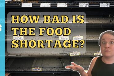 How Bad Will The Coming Food Shortage Be?