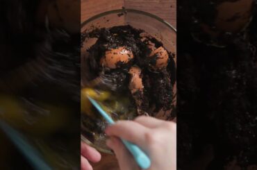 Swedish Egg Coffee 🇸🇪🍳☕️