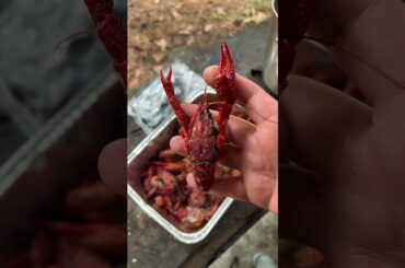 Cooking Walmart crawfish 🦞 #fishing #cooking #outdoors