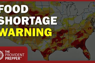 2026 Food Shortage Warning: Are You Ready? Here's Your Action Plan