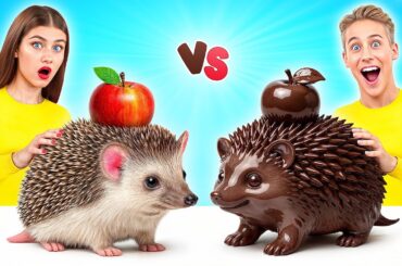 Real Food vs Chocolate Food Challenge | Simple Kitchen Recipes by Multi DO Challenge