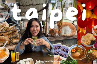 TAIPEI *foodie* VLOG 🍜 first ever mother-daughter trip, trying local spots, street food & desserts 🍰
