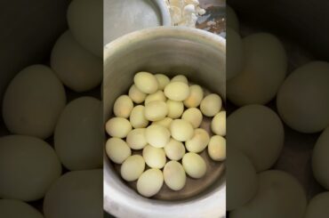 Aja Friends 30 Egg🥚 Khate Hain #minivlog #yummy #recipe #cooking #shorts