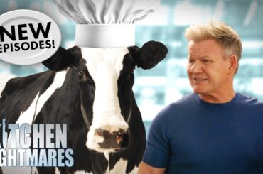 yes the food is bad but maybe gordon needs to moo-ve on 🐄 | NEW Kitchen Nightmares COMPILATION