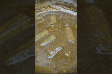 दोडका मसाला/Ridge Guard recipe #food #tastyindia #viral #recipe #tasteofindia #foodcraze #cooking