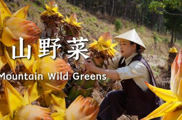 In Yunnan, where people eat wild greens, the trees are full of people picking them.【滇西小哥】