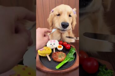 Fine Dining for the Goodest Girl! 🐾✨😱 #shorts #viral #puppy #foryou