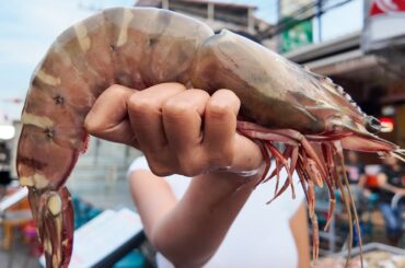 1 FOOT TIGER PRAWNS – Cooked 4 Different Ways in Thailand 🇹🇭