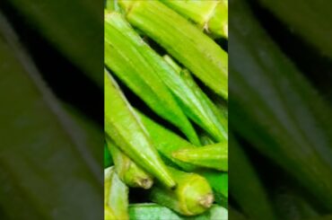 Achchha Sila Diya Toone#food#yt #cooking#motivation#shorts#viral#youtubeshorts  #@ShwetasBhansaghor