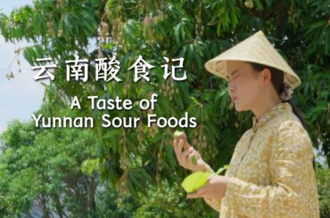 A Taste of Yunnan’s Sour Foods【滇西小哥】