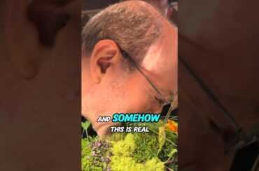 Bro paid $500 to eat grass💀