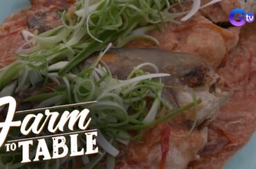 Celebrating TOMATOES with the classic Sarciado! | Farm to Table