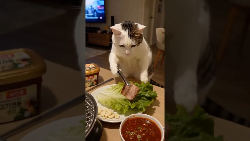 Korean Pork Belly BBQ – Samgyupsal (삼겹살) #koreanfood #samgyupsal #catcooking #chefmeow #thitnuong