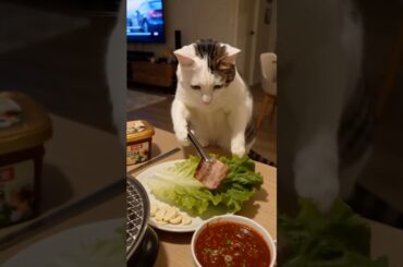 Korean Pork Belly BBQ - Samgyupsal (삼겹살) #koreanfood #samgyupsal #catcooking #chefmeow #thitnuong