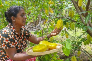 Star fruit curry with local village ingredients | Sri Lankan traditional cooking