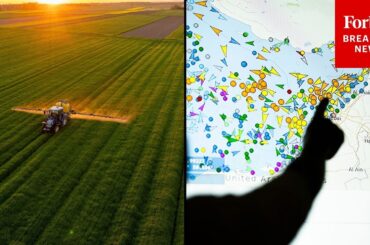 Expect Deadly Food Scarcity And Price Hikes: ICC Secretary General Sounds Alarm On Fertilizer Crisis