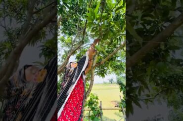 Amba khata🥭#shortsfeed #cooking #recipe #viralshort #trandingsong