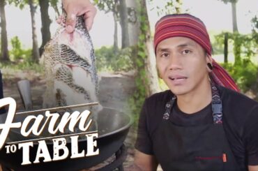 Elevate your tilapia with this easy recipe! | Farm To Table
